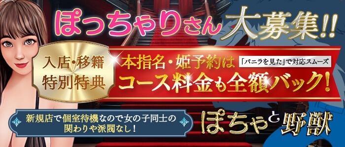 ぽちゃと野獣(高収入バイト)（西川口発・近郊/ぽっちゃりデリヘル）