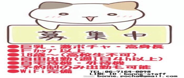 きゃさりん 尼崎本店(高収入バイト)(尼崎発・近郊/ぽっちゃりデリヘル)