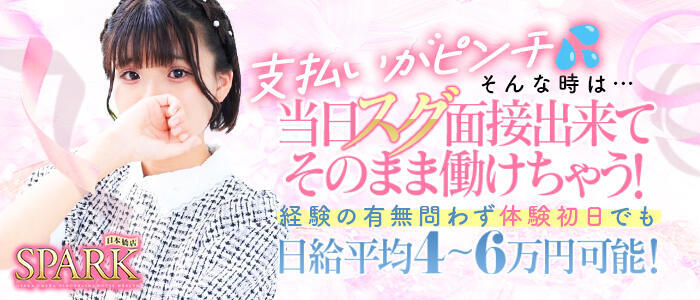 特徴 - スパーク日本橋(高収入バイト)（日本橋発・近郊/ホテヘル＆デリヘル）