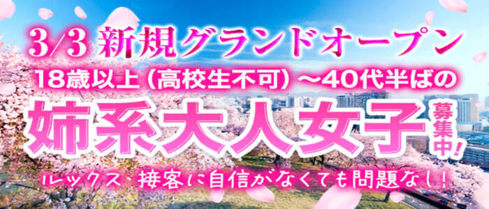 熊本　櫻華(高収入バイト)(熊本発・近郊/デリヘル)