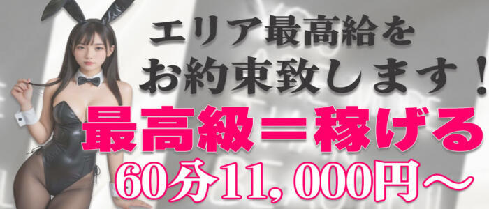 特徴 - bunny paradise(高収入バイト)（西船橋発・近郊/デリヘル）