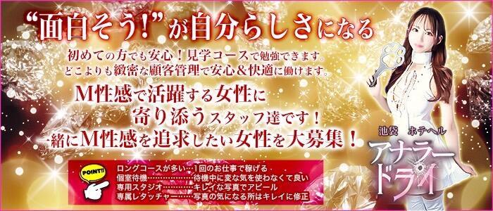 アナラードライ(高収入バイト)（池袋/M性感ホテヘル＆デリヘル）