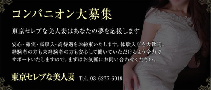 東京セレブな美人妻(高収入バイト)（品川発・23区/人妻系デリヘル）