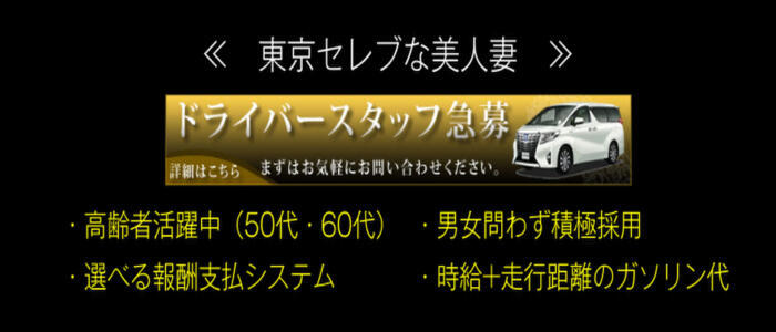 東京セレブな美人妻(高収入バイト)(品川発・23区/人妻系デリヘル)