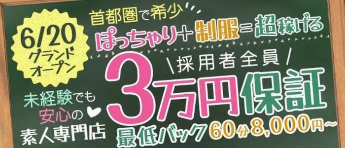 ぽちゃドル学園(高収入バイト)（池袋発・近郊/学園系ぽっちゃりデリヘル）