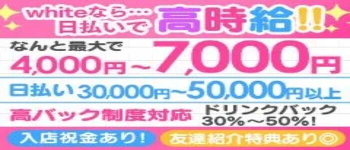 特徴 - WHITE(金沢)(高収入バイト)(金沢片町/セクキャバ)