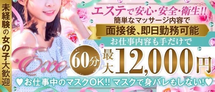 Exe~エグゼ~(高収入バイト)(平塚発・近郊/風俗エステ)