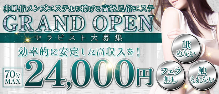 Salon de Flawless（サロンドフローレス）(高収入バイト)(新栄/店舗型風俗エステ)