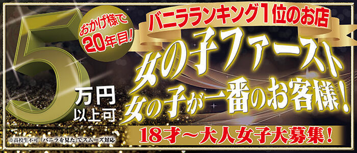 THE・TRY(高収入バイト)(宇都宮発・近郊/デリヘル)