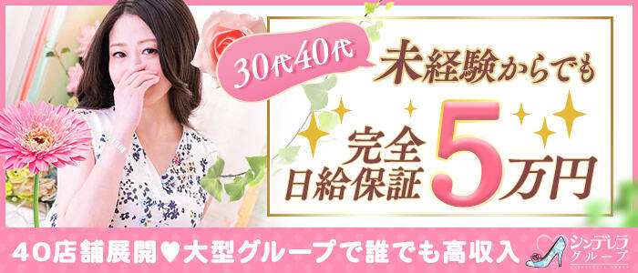 新橋・汐留人妻ヒットパレード（シンデレラグループ）(高収入バイト)（新橋発・23区/若妻デリヘル）