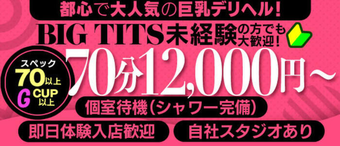 Big Tits(ビッグティッツ)(高収入バイト)(新大久保、歌舞伎町発・23区近郊/巨乳専門デリヘル)