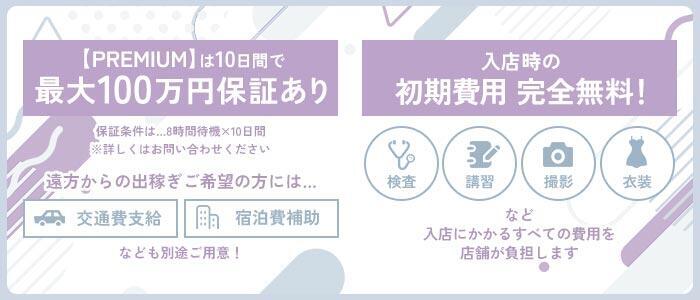 特徴 - THE PREMIUM (プレミアム)(高収入バイト)(川崎堀之内/ソープランド)