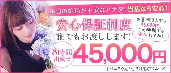 妖精（ようせい）(高収入バイト)(名古屋駅/ファッションヘルス)