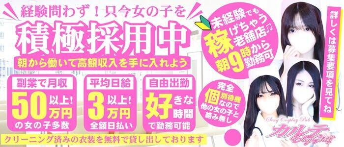 カルテDayShift(高収入バイト)（池袋東口/セクキャバ）