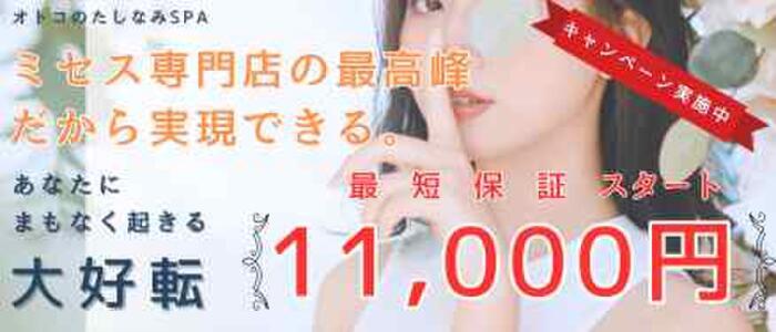 オトコのたしなみSPA(高収入バイト)(日本橋発・近郊/出張性感エステ)