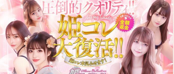 姫コレクション 高崎前橋店(高収入バイト)(高崎発・近郊/デリヘル)