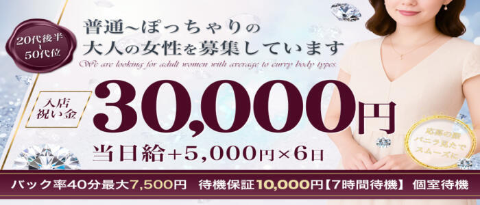 しこたま奥様　熊本店(高収入バイト)(中央街/店舗型人妻ヘルス)