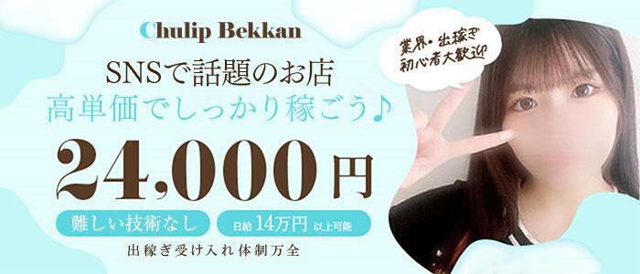 チューリップ福井別館(高収入バイト)(福井/ソープランド)
