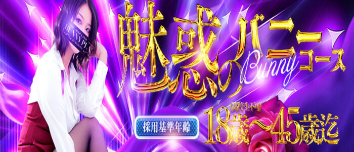 特徴 - BUNNY PLAS(高収入バイト)（中央街/ソープランド）