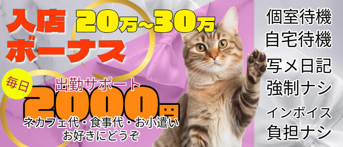 ミセスラウンジ東京(高収入バイト)（五反田発・23区/人妻系デリヘル）