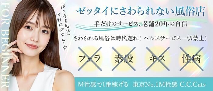 特徴 - C.C.CATS(高収入バイト)（渋谷発・近郊/受付型M性感＆派遣型M性感）