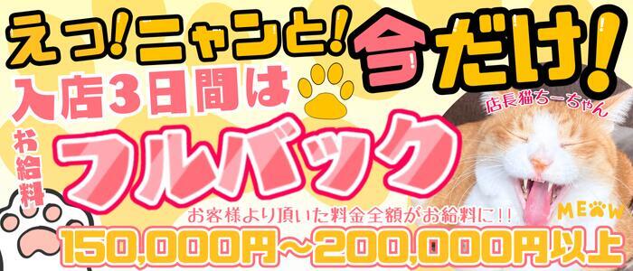 CLASSY（クラッシー）.神戸(高収入バイト)(神戸発・近郊/待ち合わせ型人妻・淑女デリヘル)