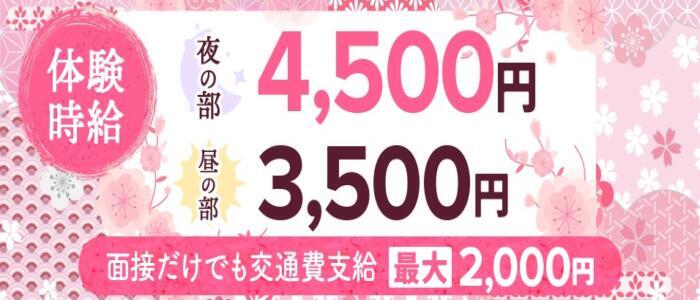 和風アーカフェ(高収入バイト)(祇園四条/セクキャバ)