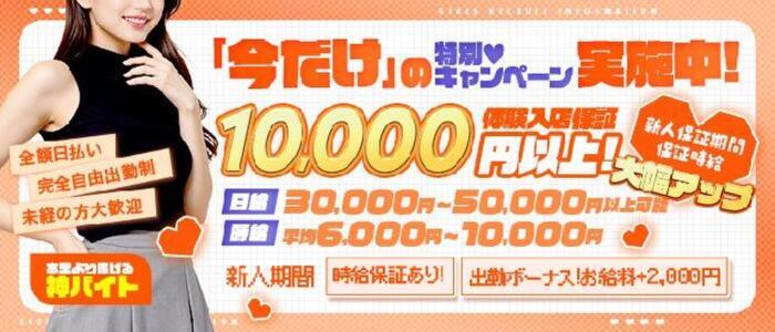 デリピン ハワイ(高収入バイト)(蒲田発・周辺/デリヘル)