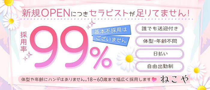 特徴 - ねこや(静岡)(高収入バイト)（静岡発・近郊/デリヘル）