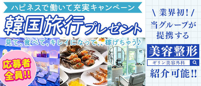 ドリーム水戸(高収入バイト)(天王町（水戸市）/ソープランド)