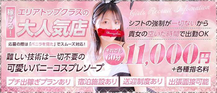 ドMなバニーちゃん水戸店(高収入バイト)(水戸市天王町/ソープランド)