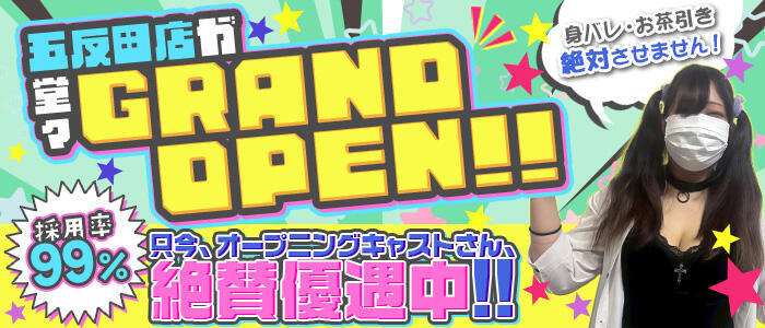 特徴 - 全裸コレクション or 妄想痴漢電車(高収入バイト)（五反田/ホテヘル）