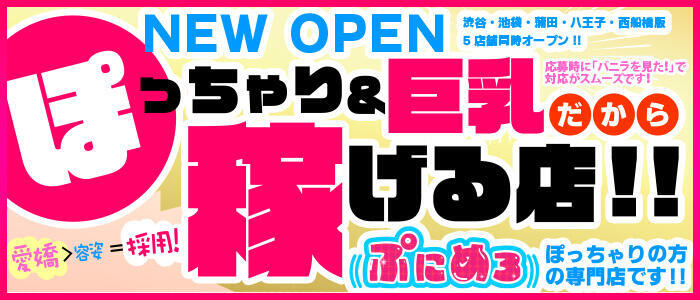 ぽっちゃり巨乳素人専門店ぷにめろ渋谷店(高収入バイト)(渋谷発・近郊/ぽっちゃり系デリヘル)