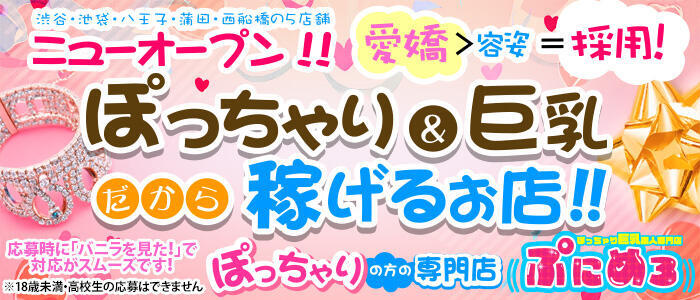 ぽっちゃり巨乳素人専門店ぷにめろ池袋店(高収入バイト)(池袋発・近郊/ぽっちゃり系デリヘル)