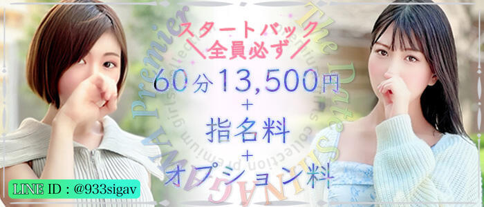 The Date SHINAGAWA Premier【ザ・デート品川プレミア】(高収入バイト)(品川・五反田発・近郊/デリヘル)