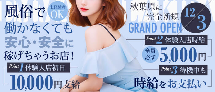 特徴 - エマニエル秋葉原(高収入バイト)（秋葉原/セクキャバ）