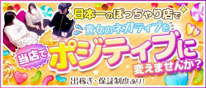 BBW錦糸町店(高収入バイト)（錦糸町発・近郊/ぽっちゃりデリヘル）