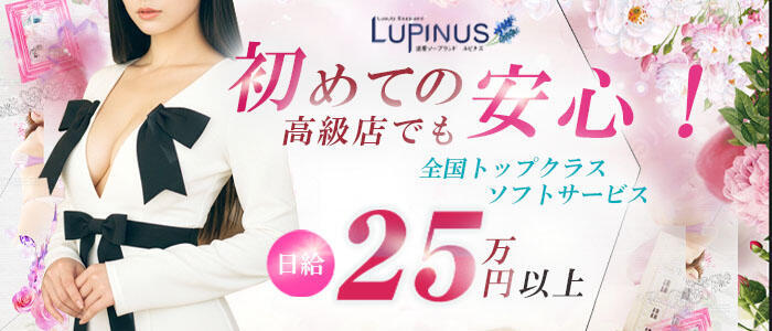 ルピナス(高収入バイト)(吉原/高級ソープランド)
