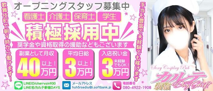 カルテDayShift（新宿）(高収入バイト)（新宿歌舞伎町/セクキャバ）