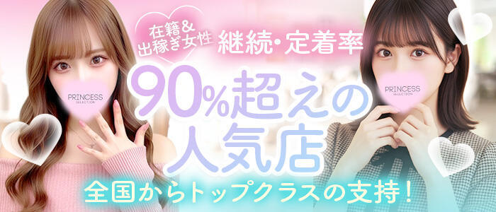 プリンセスセレクション姫路(高収入バイト)(姫路発・近郊/デリヘル)