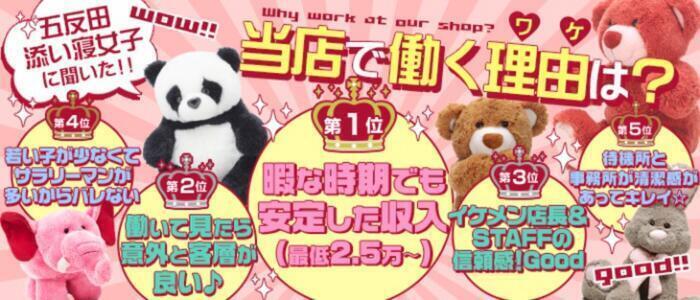 特徴 - 小岩添い寝女子(高収入バイト)（小岩発・近郊/オナクラ）