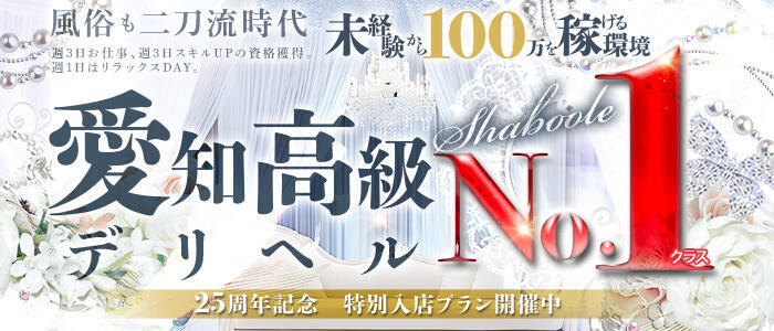 シャブール(高収入バイト)(名古屋発・近郊/高級デリヘル)