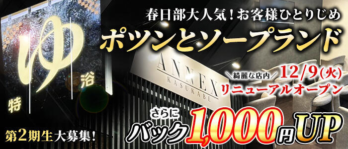 ANNEX（アネックス）(高収入バイト)（春日部/ソープランド）