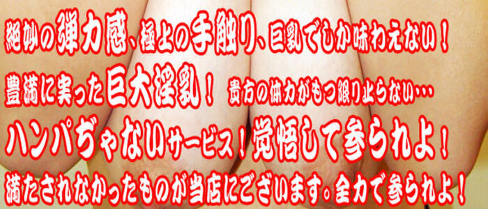 特徴 - 沖縄ちゃんこコザ(高収入バイト)（沖縄発・近郊/ぽっちゃりデリヘル）