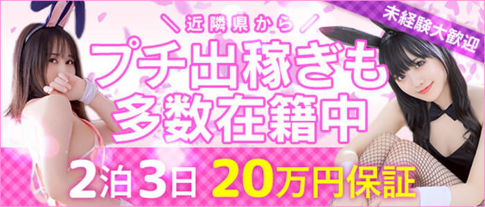 ドMなバニーちゃん徳島店(高収入バイト)(栄町（徳島市）/ファッションヘルス)