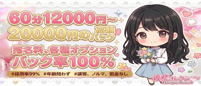 彼女コレクション(高収入バイト)（秋葉原発・近郊/デリヘル）