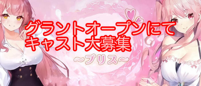 特徴 - ブリス～Bliss～(高収入バイト)（日暮里発・近郊/アジアンデリヘル）