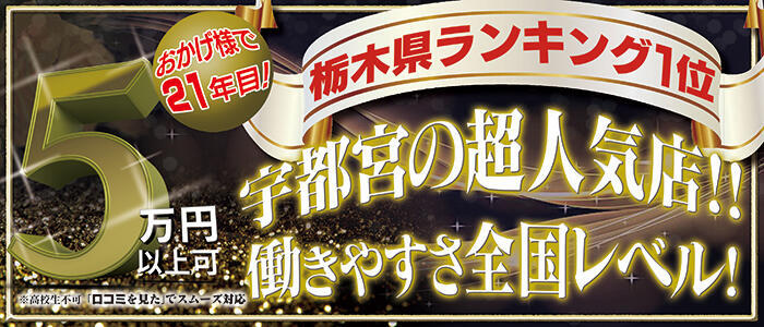 THE・TRY(高収入バイト)(宇都宮発・近郊/デリヘル)