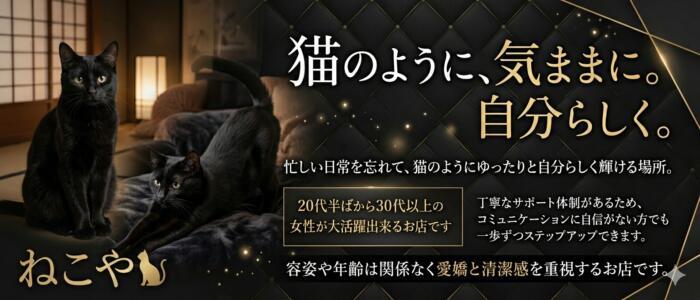 特徴 - ねこや(静岡)(高収入バイト)（静岡発・近郊/デリヘル）