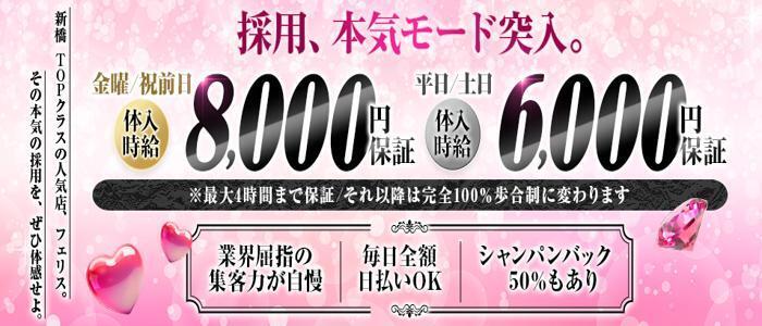 club Feliz（フェリス）(高収入バイト)（新橋/いちゃキャバ）